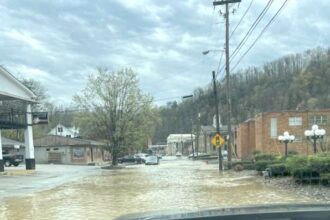 Inez turned to Venice