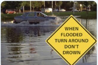 turn around, don't drown